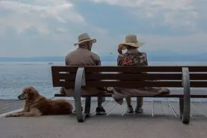 Relationship Coach